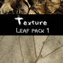 Leaf texture - pack 01