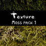 Moss texture - pack 01