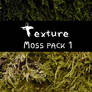 Moss texture - pack 01