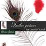 Feather pictures - pack 01
