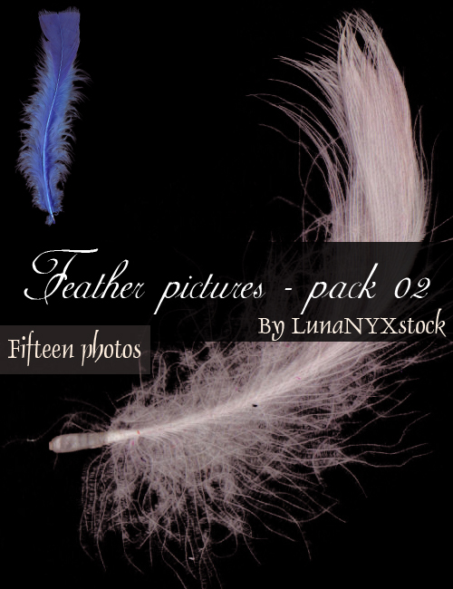 Feather pictures - pack 02