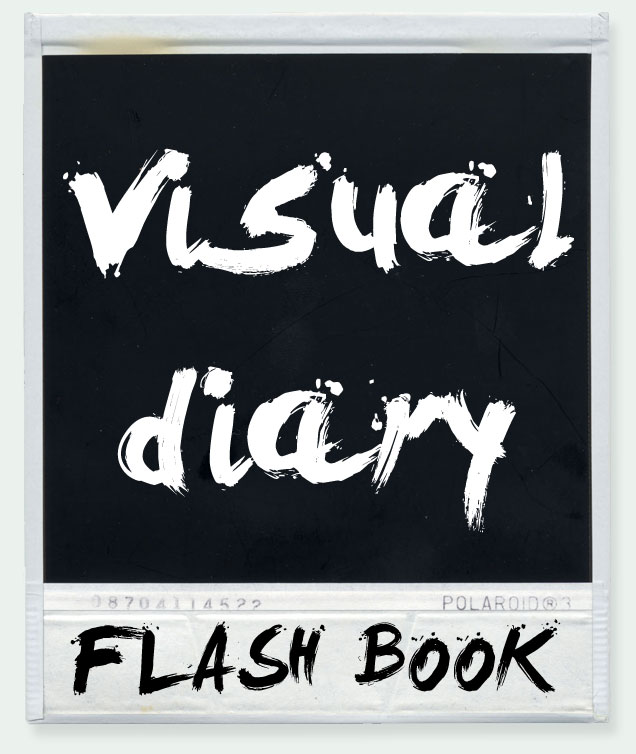 Visual Diary flash book