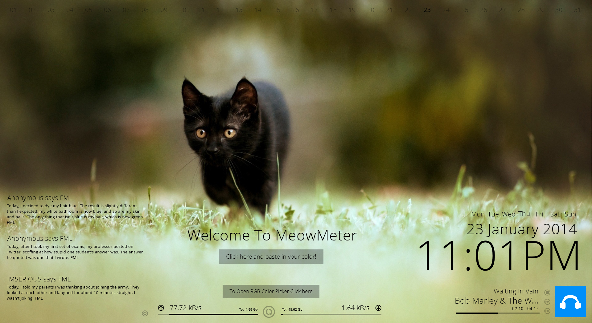 MeowMeter 2.0 A