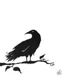 Crow by deadinsane