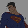 superman flats