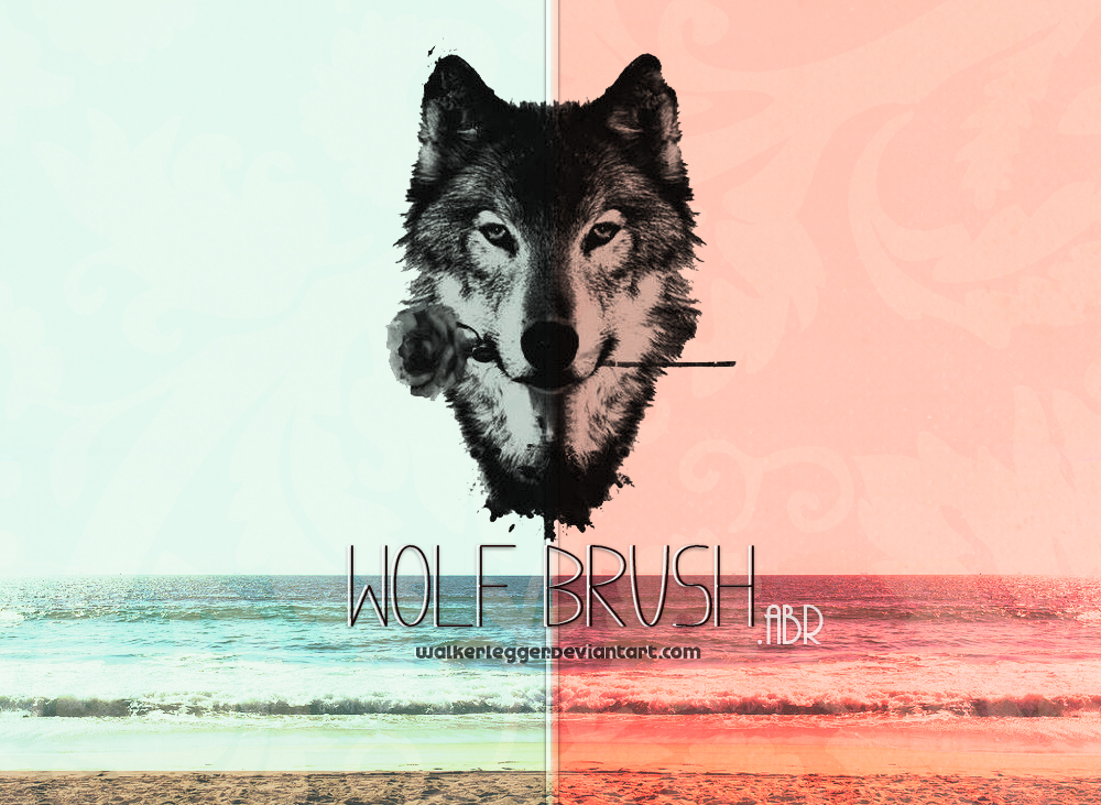 Wolf Brush