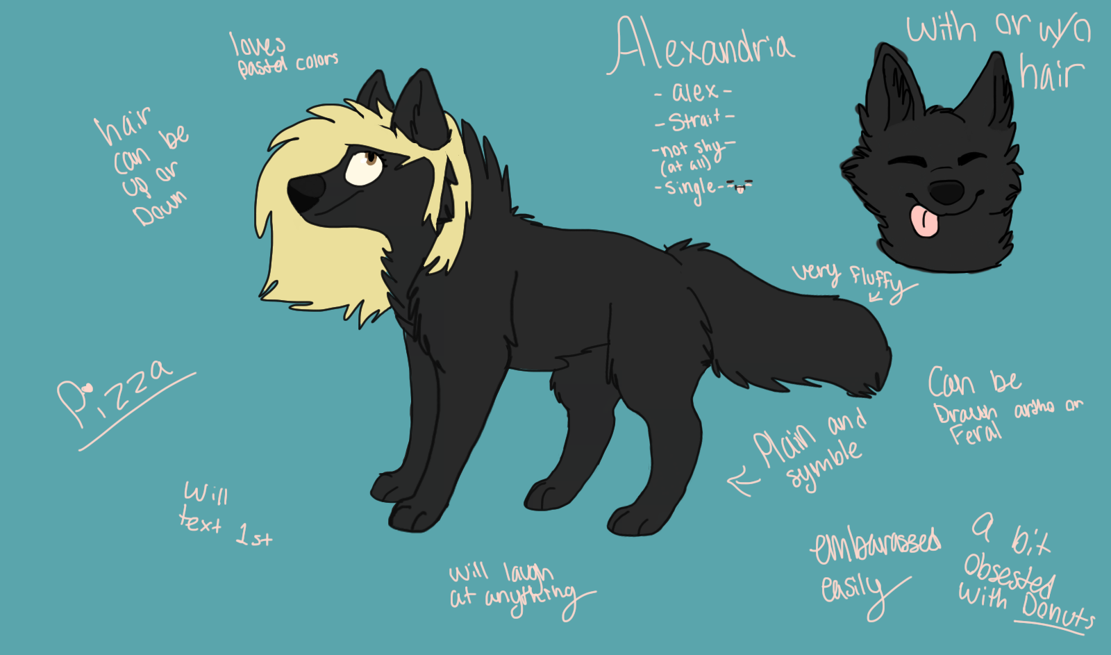 Alex ref by alexwolflover777 on DeviantArt