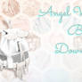 Angel Wing Bag - MMD Download