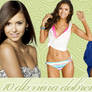 Nina Dobrev PNG pack