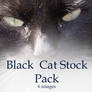 Black Cat stock pack