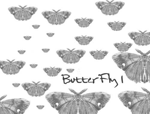 butterfly 1 by timbles on DeviantArt