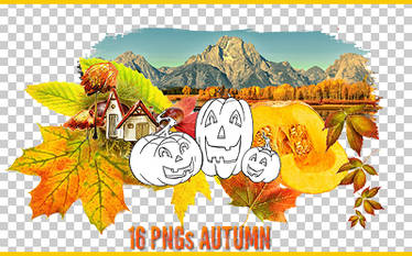 Autumn PNGs