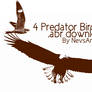 Predator Birds Brush Set