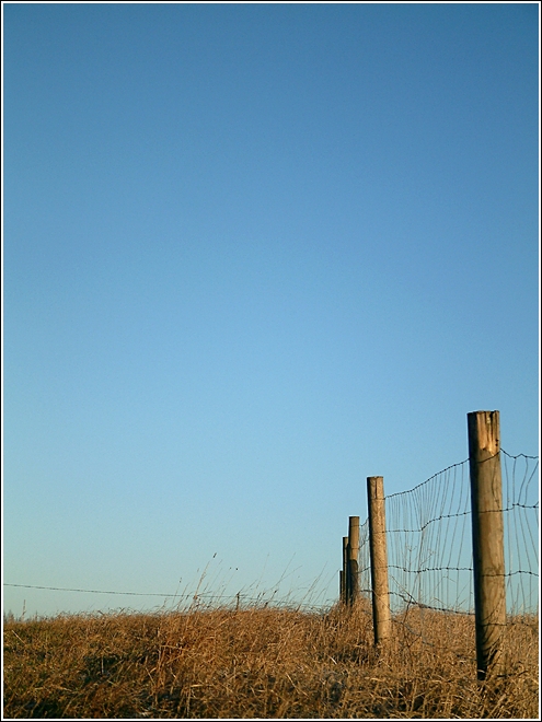 Fence