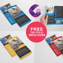 Free Tri Fold Brochure