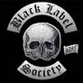 BLS-Silver