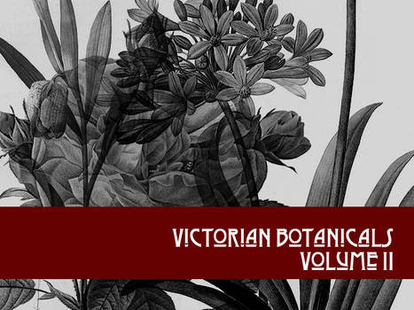 Victorian Botanicals Volume 2