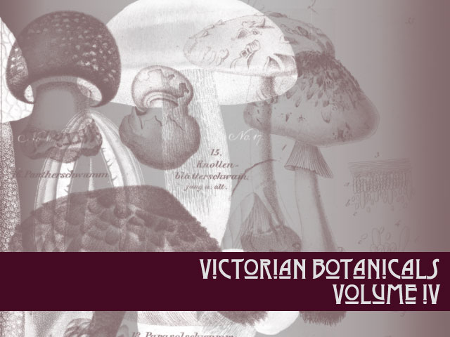 Victorian Botanicals Volume 4