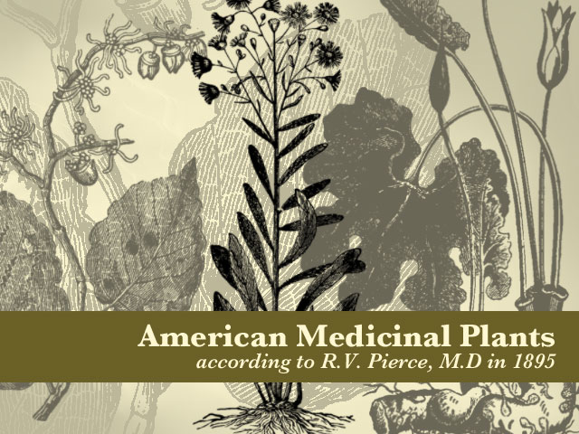 US Medicinal Plants