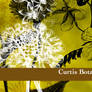 Curtis Botanicals Volume 4
