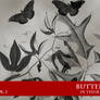 Butterflies in Habitats Vol. 1