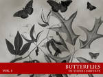 Butterflies in Habitats Vol. 1