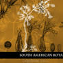 South American Botanicals