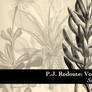 Botanicals - PJ Redoute Vol.2