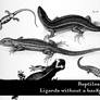 Reptiles Vol. 2