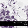 Botanicals 7 - Lilies