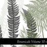Botanicals Volume 10 - Ferns