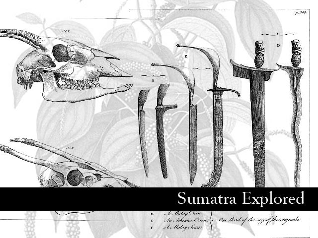 Studies of Sumatra -19th C