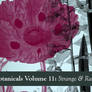Botanicals Volume 11