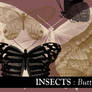 Insects: Butterflies 2