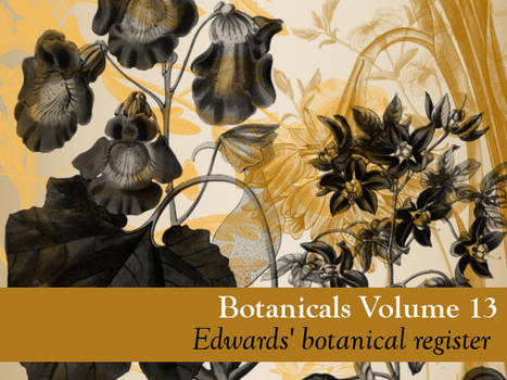 Botanicals Vol 13