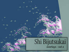 Shin-Bijutsukai: overlays 2