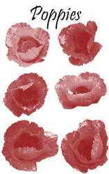 Poppy Photoshop Brushes