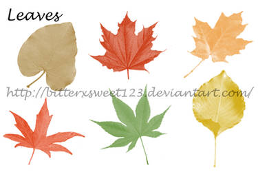 Leaves Photoshop Brushes