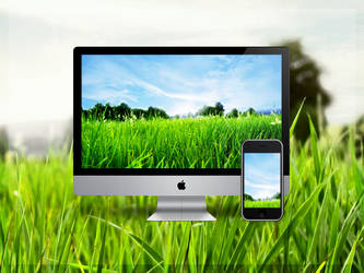 Look into the Horizon