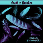 Feather Brushes by dollieflesh-stock