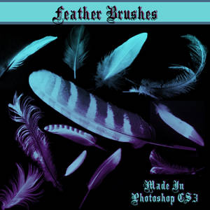 Feather Brushes