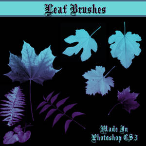 Leaf Brushes