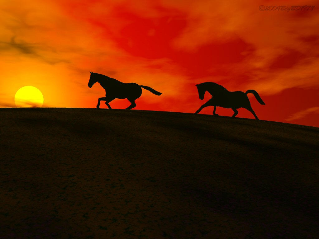 Horse 2 by bigbd1978 on DeviantArt