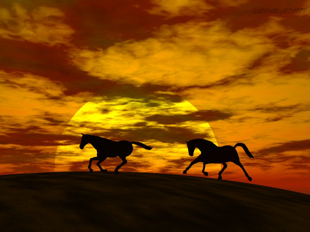 Horse 3 by bigbd1978 on DeviantArt
