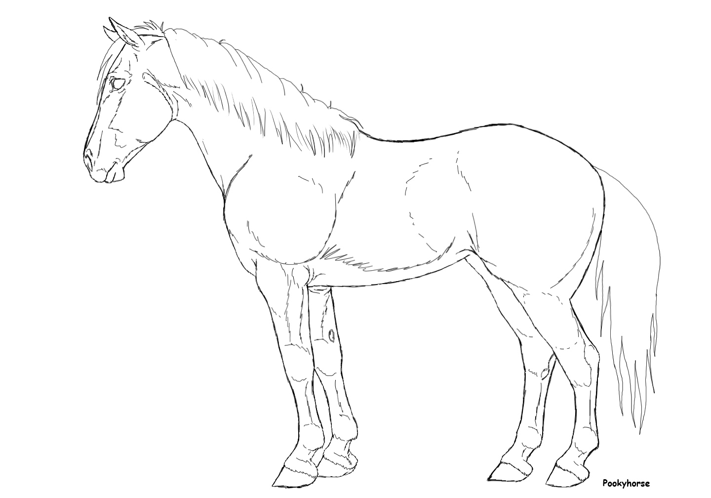 Stock horse mare lineart