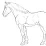 stock horse stallion lineart