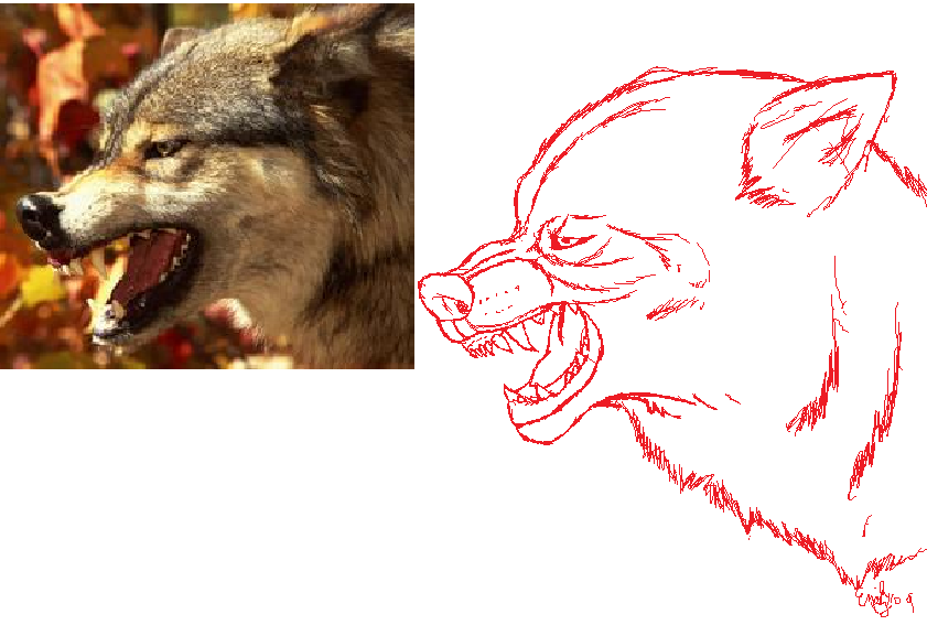 Wolf Snarl -MS Sketch- by SkarmoryPhoenix on DeviantArt
