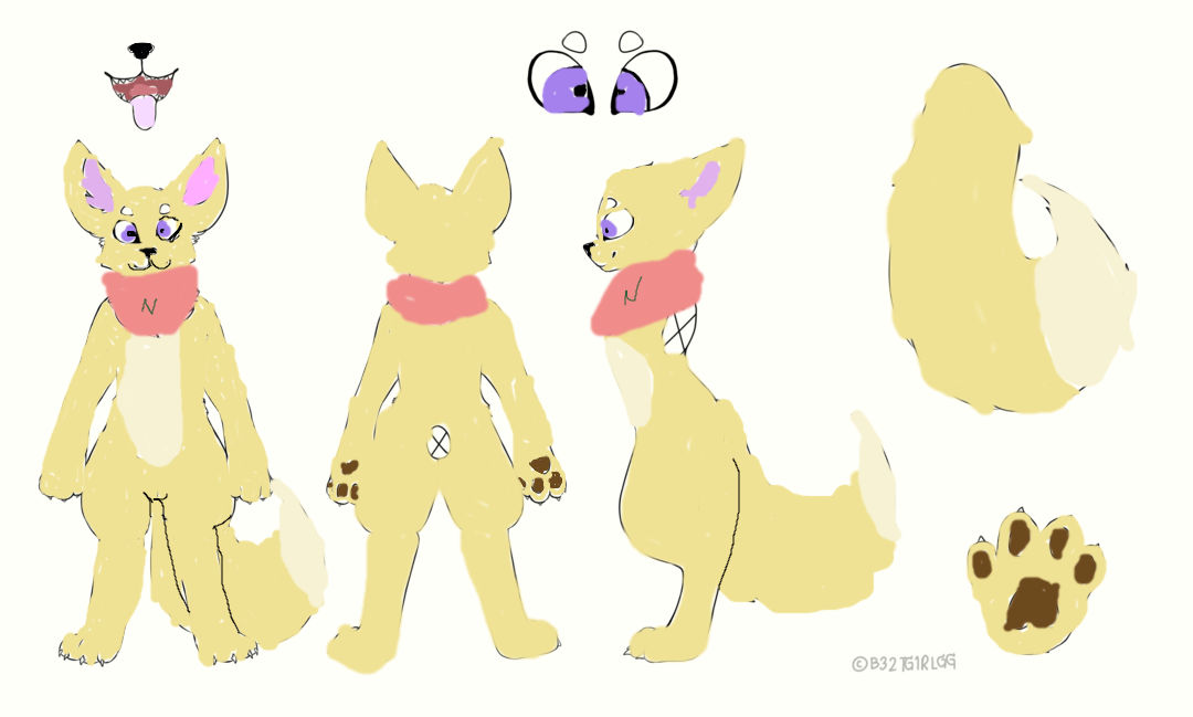 Nirvana Referance Sheet by rainbowcoyotecat on DeviantArt