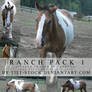- ranch pack 1 -