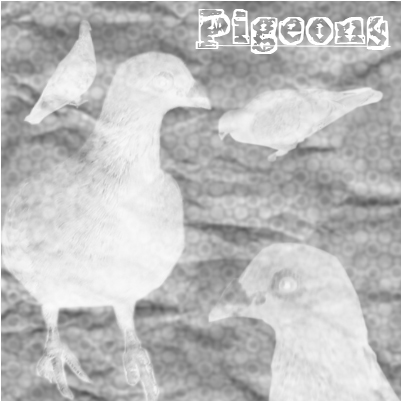 Pigeon Brushes